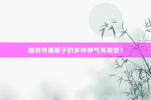 植物传播撒子的多种神气有哪些？