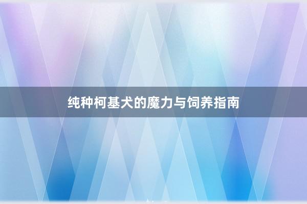 纯种柯基犬的魔力与饲养指南