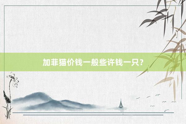 加菲猫价钱一般些许钱一只？