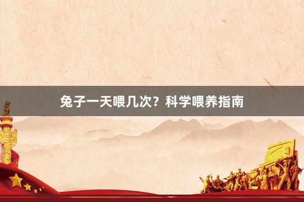 兔子一天喂几次?科学喂养指南